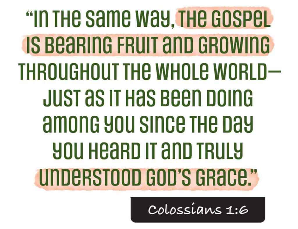 Colossians 1:6 In the same way, the gospel is bearing fruit and growing throughout the whole world—just as it has been doing among you since the day you heard it and truly understood God’s grace.